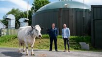 Возобновляемый крипто-майнинг — от коровы до монеты