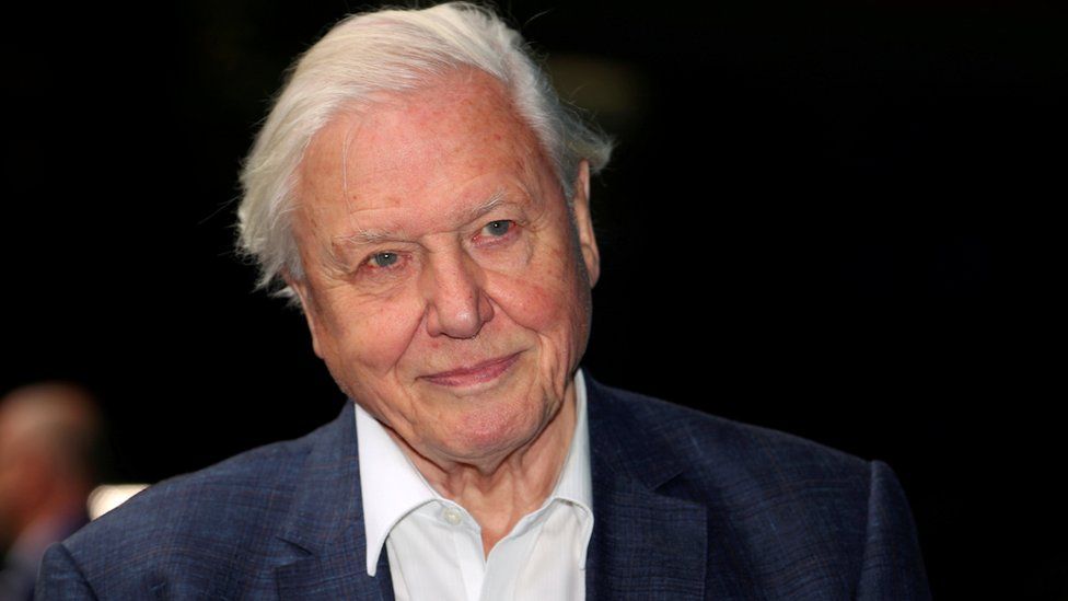 Sir David Attenborough is among those supporting the Big Broadcasting Challenge campaign