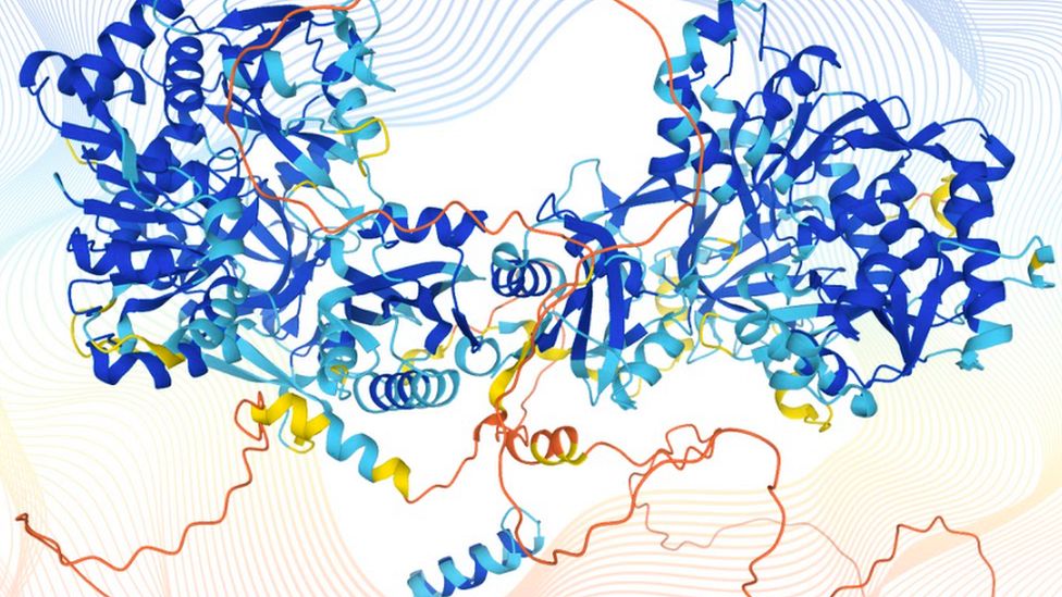 Only a fraction of proteins made by the human genome have confirmed structures