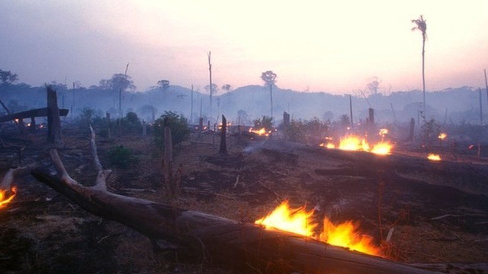 Image caption, Large parts of the Amazon, described as the lungs of the world, is being destroyed