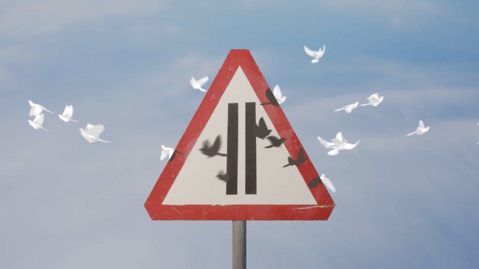 NFT предупреждающего знака заменяет самолет голубями по мере его вращения