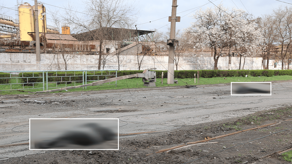 Несколько тел были показаны на открытой местности вдоль главной дороги в городе Мариуполь