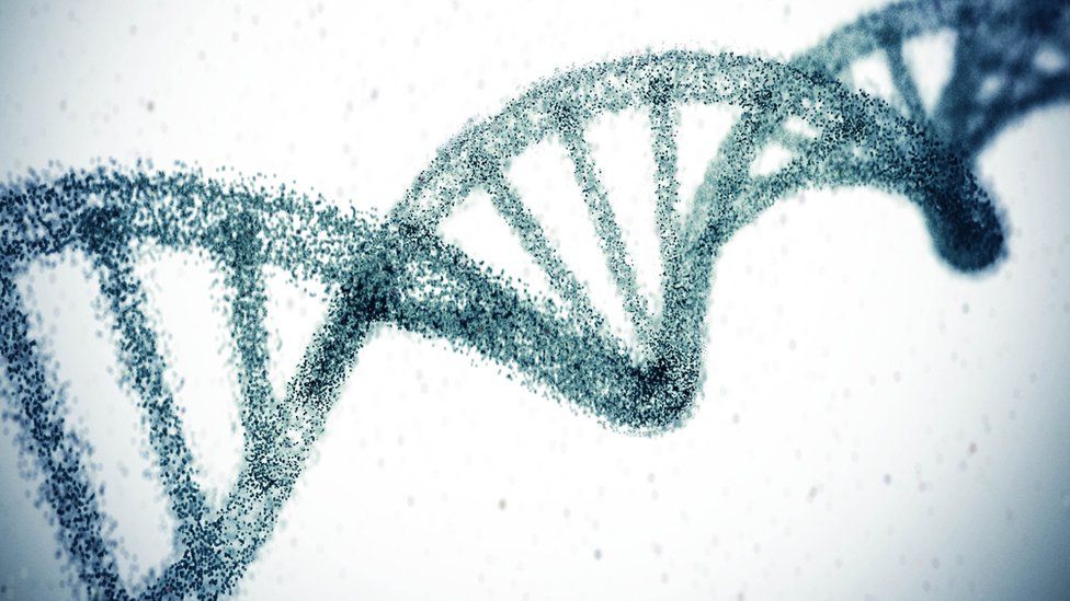 Генные приводы способны вырезать другой ген из полоски ДНК