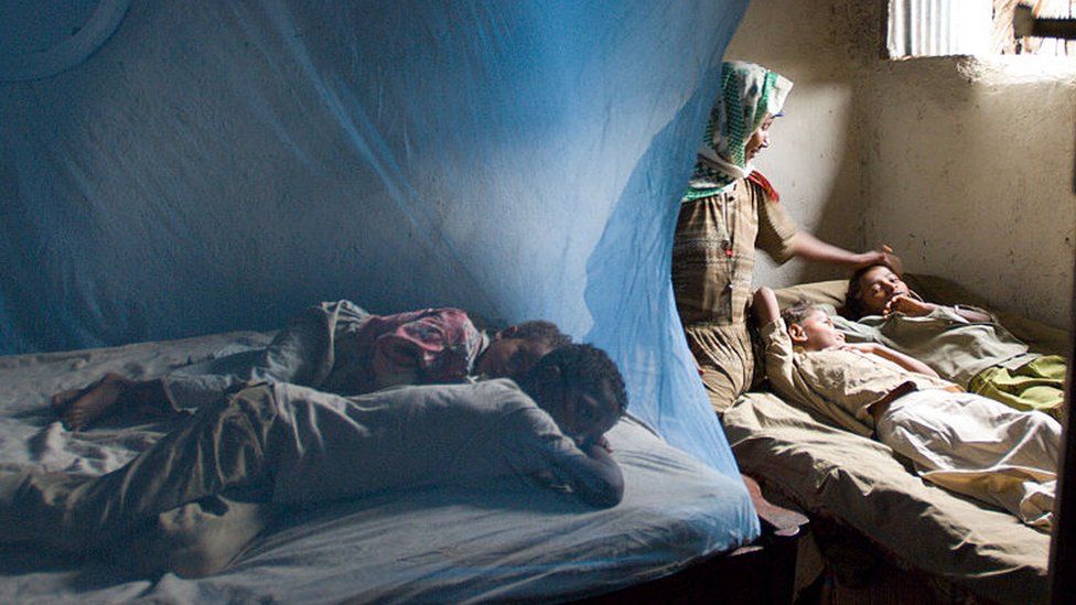 Экономическое воздействие малярии является значительным и широкомасштабным, включая случаи отсутствия на работе и в школе