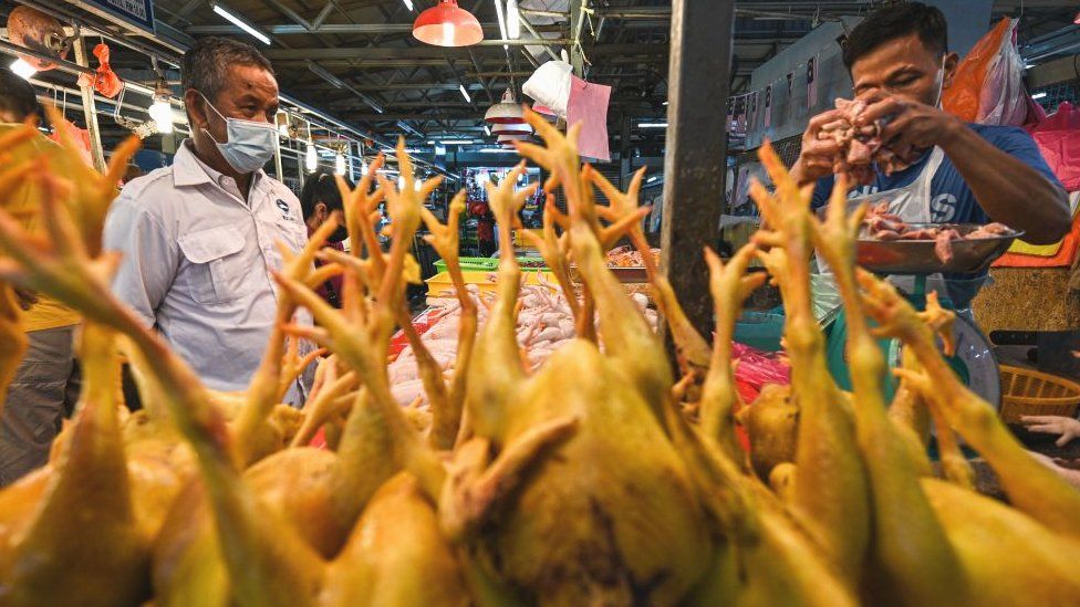 Зарезанная курица на стихийном рынке в Куала-Лумпуре