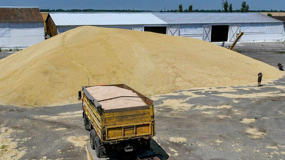 , Harvest in Zaporizhzhia: Ukraine is a major exporter of grain to Africa and the Middle East