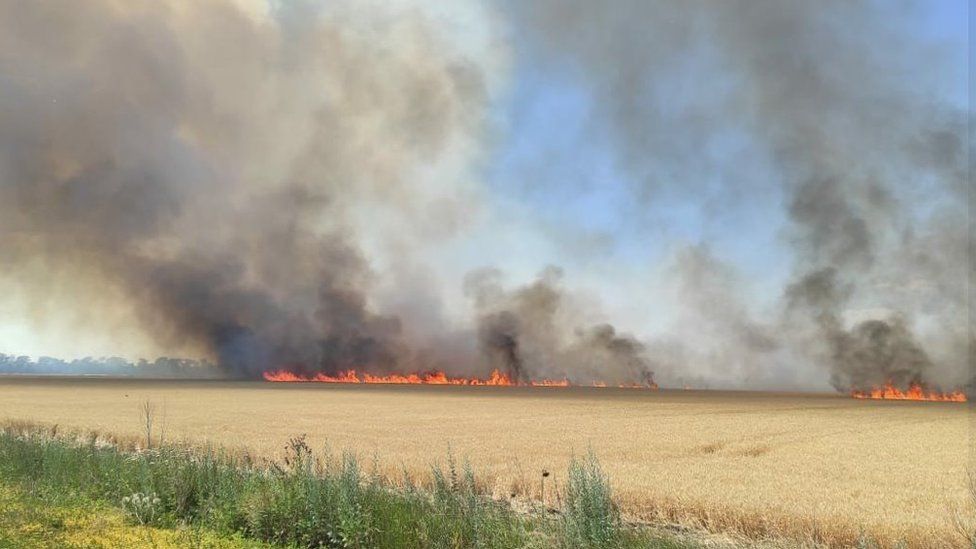 Kherson police say Russian troops are deliberately destroying crops (pic: Kherson police)