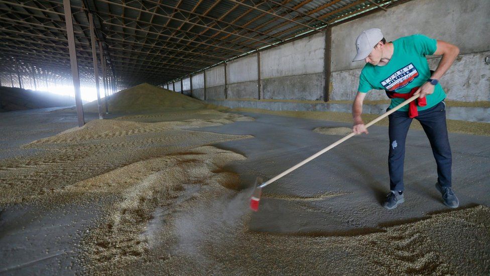 В прошлом месяце Украина экспортировала 2,5 млн. тонн зерновых, что значительно ниже нормы в 8 млн. тонн