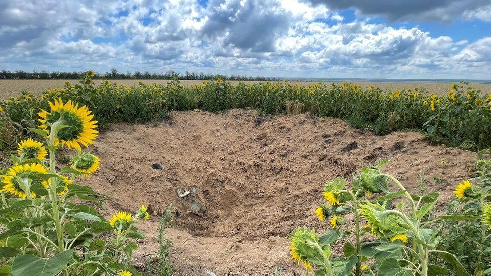 A shell crater in a sunflower field near Slovyansk