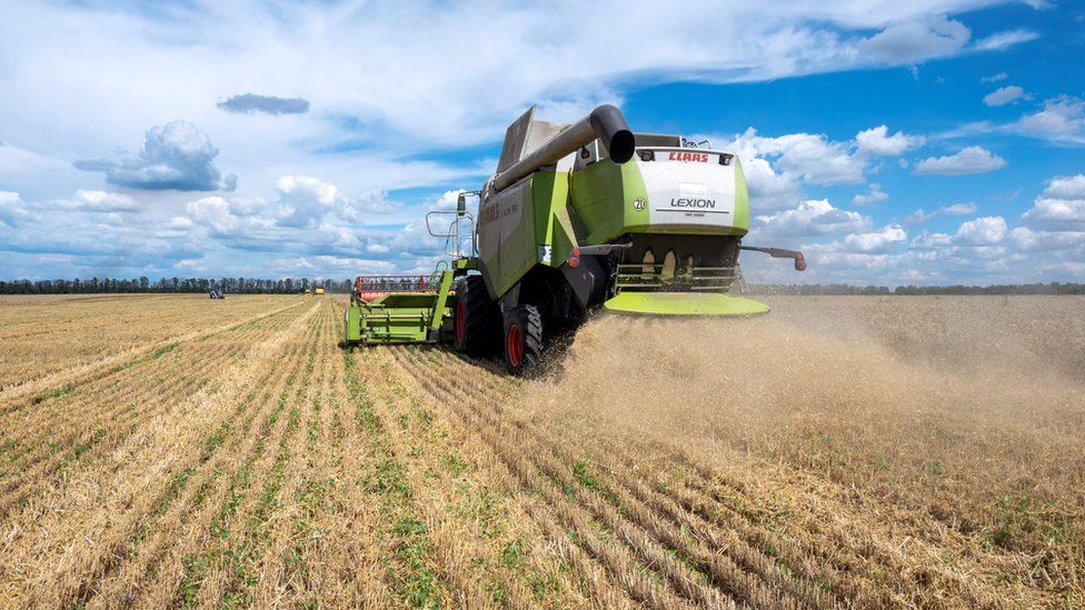 Farmers harvesting a wheat field in Kharkiv region