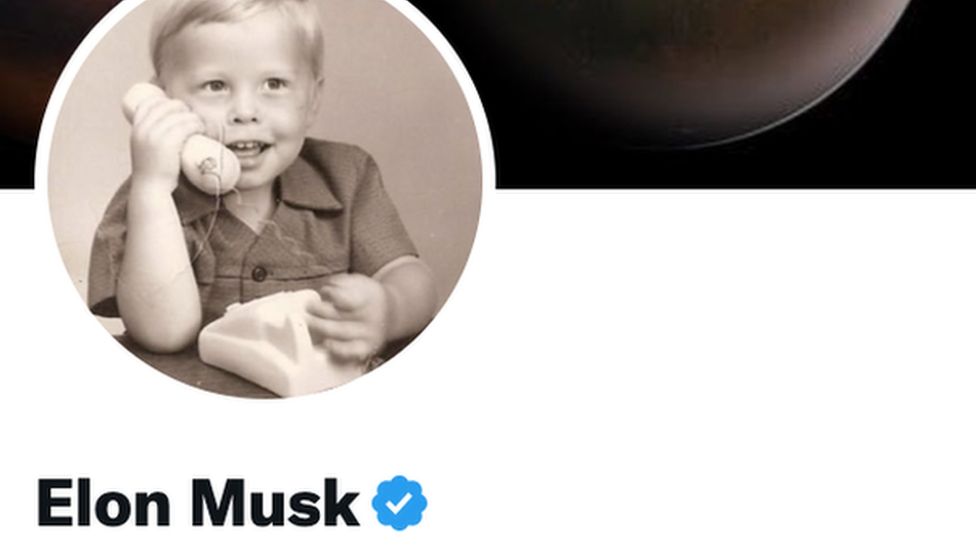 Elon Musk's Twitter profile picture
