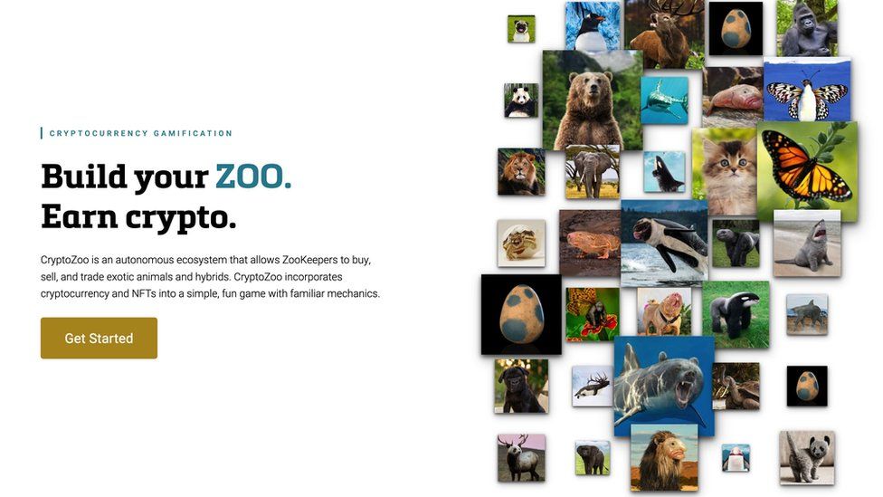The now removed homepage of CryptoZoo
