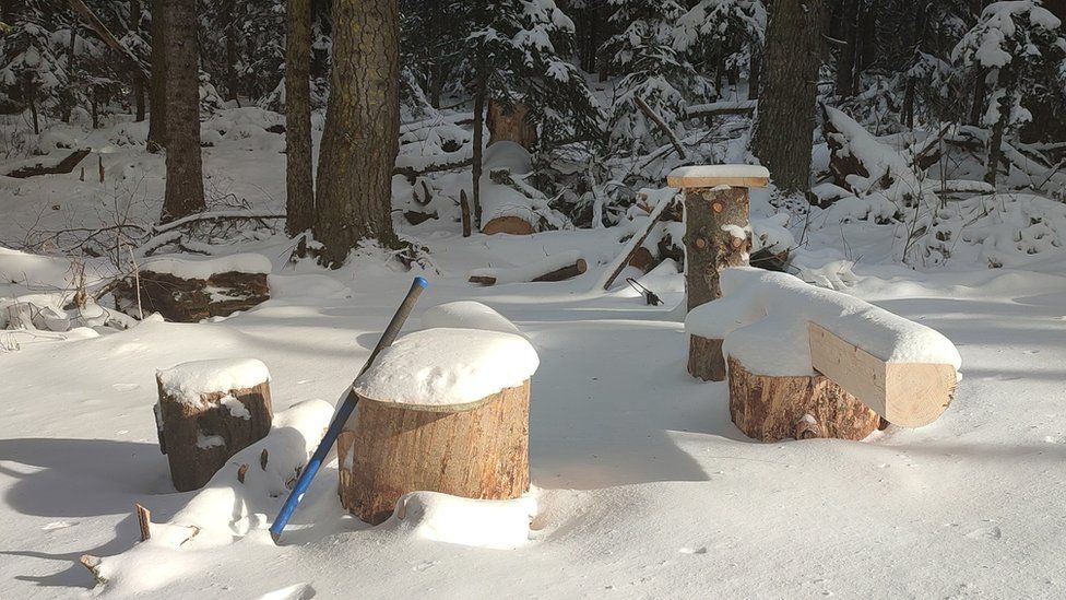 Снег в лесу начинает таять по мере того, как дни становятся длиннее, говорит Калинин