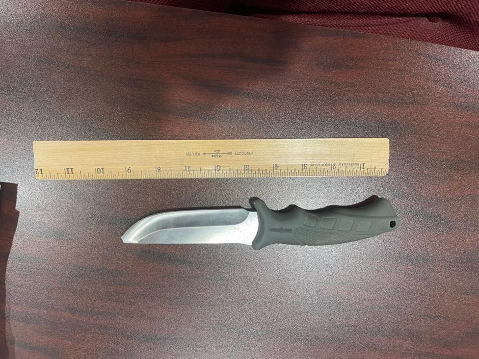 Knife used in stabbing