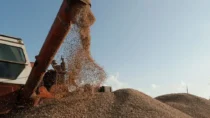 Украина подала в суд на соседей ЕС из-за запрета на импорт продуктов питания