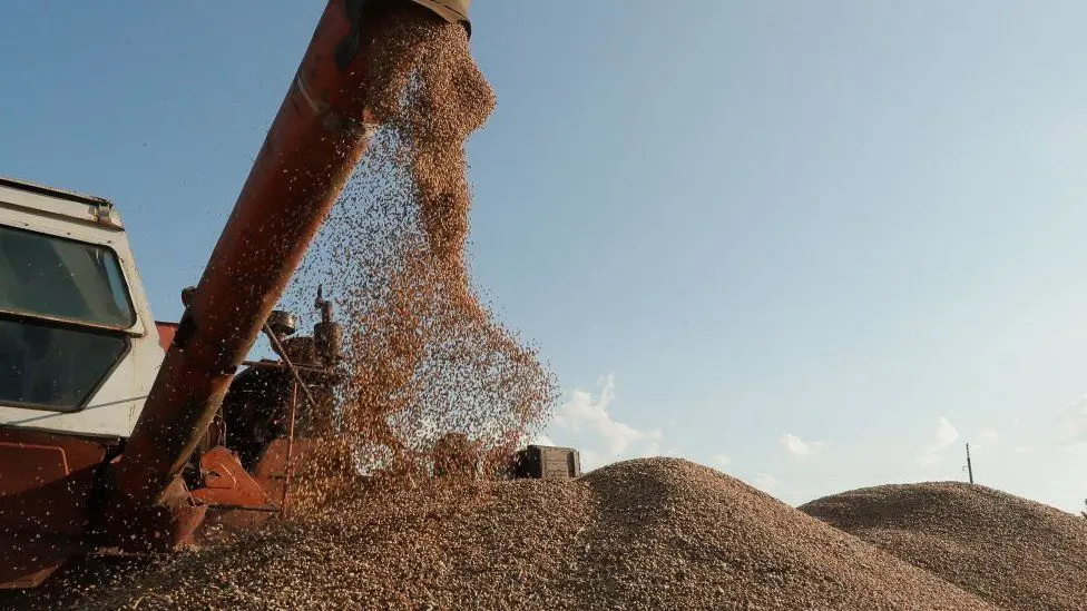 Сбор зерна во время уборки урожая под Киевом, Украина. Фото: июль 2023 г.