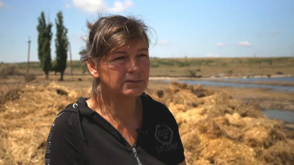 Молочная ферма Светланы Кридинер на юге Украины была затоплена водой после прорыва Каховской плотины в июне