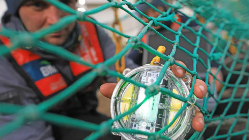 Технология светодиодного освещения испытывается рыбаками по всему миру.
