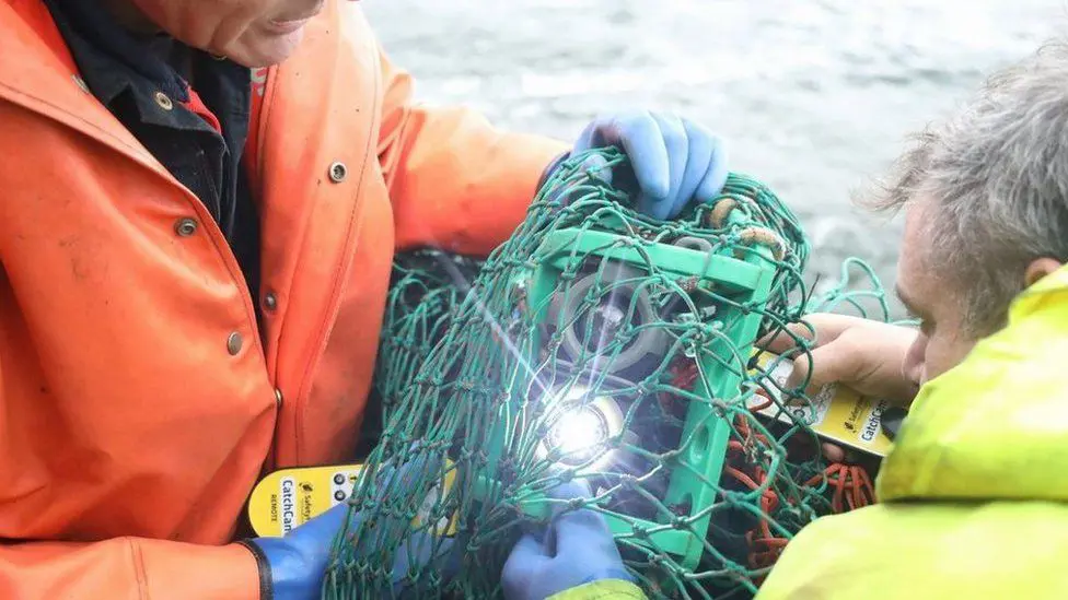Камера крепится к рыболовной сети и позволяет рыбакам видеть отснятый материал под водой