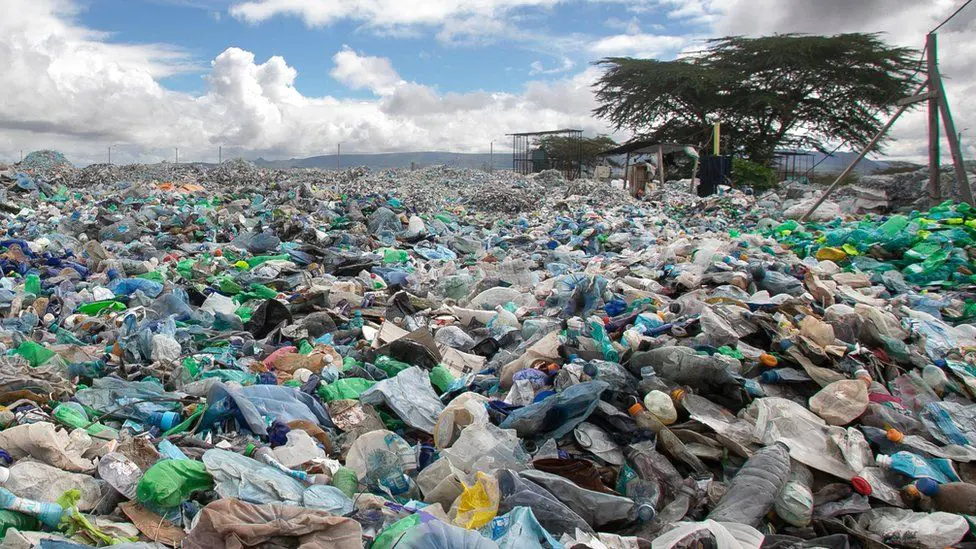 Менее 10 % пластика во всем мире перерабатывается