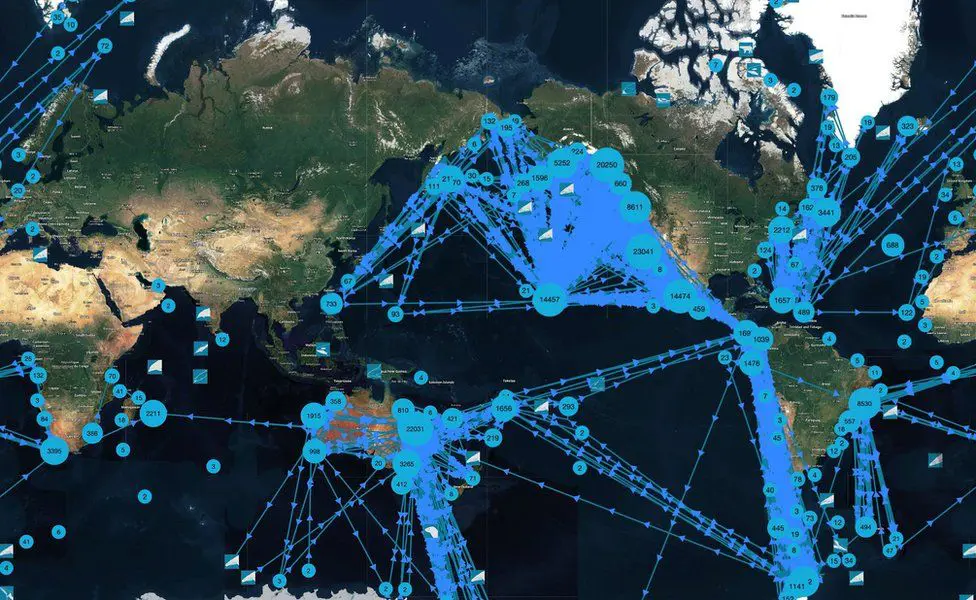 HapppyWhale использует все полученные данные для отслеживания перемещения китов по всему миру