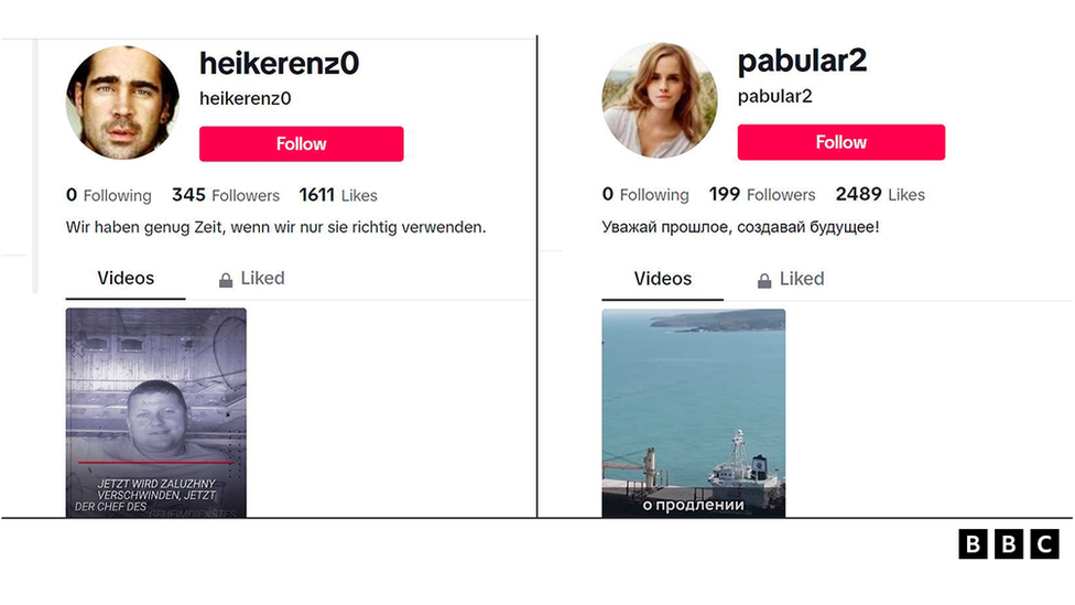 Некоторые аккаунты TikTok, входившие в сеть, использовали в своих профилях украденные изображения знаменитостей, таких как Колин Фаррелл и Эмма Уотсон
