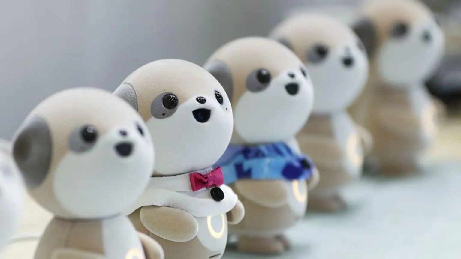 Япония столкнулась с кризисом деменции – могут ли технологии помочь? 3 Робот Poketomo компании Sharp был разработан, чтобы стать товарищем для пациентов.