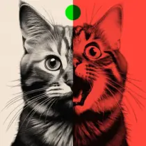 «Искусственный интеллект» трансформирует социальные сети — и назревает обратная реакция